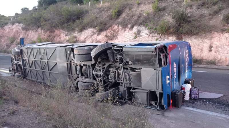 Cuánto cuesta sacarse el carnet de autobús