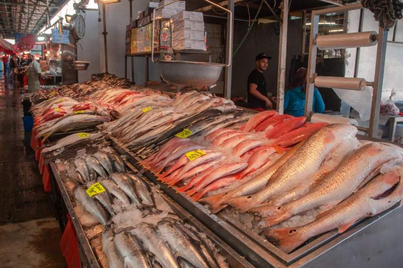 Productores aseguran abasto de pescados y mariscos para Semana Santa – NSS  Oaxaca