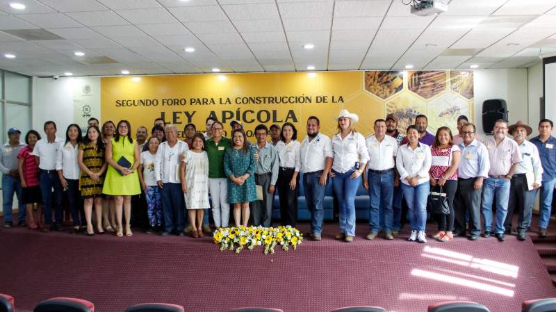 Presentarán congresistas del PRD y ciudadanía iniciativa para crear la Ley Apícola de Oaxaca