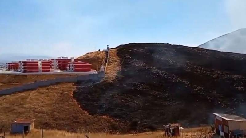 Incendio consume parte de la Zona Arqueológica de Monte Albán en Oaxaca