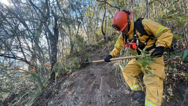 Protección Civil combate incendio que arrasó con 10 hectáreas de bosque en Santiago, Nuevo León