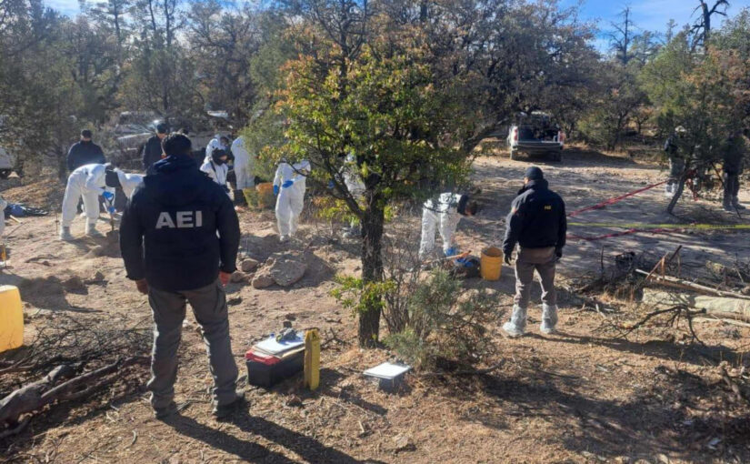 Hallan 56 cadáveres en fosas clandestinas de Casas Grandes, Chihuahua